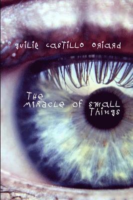 Guilie Castillo Oriard - Miracle of Small Things, Häftad