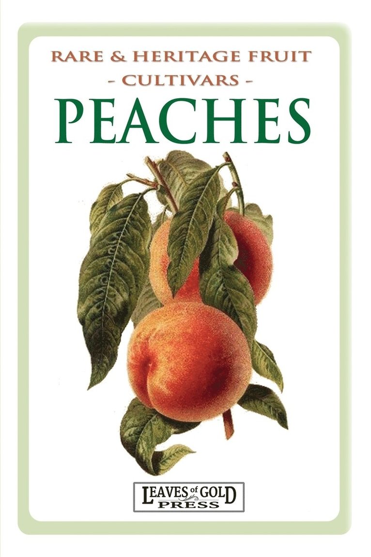 Peaches 1