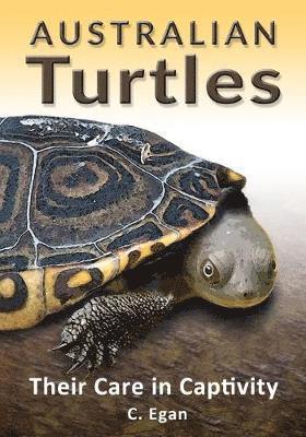 Australian Turtles 1