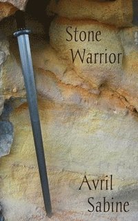 bokomslag Stone Warrior