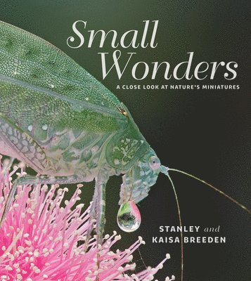 Small Wonders 1