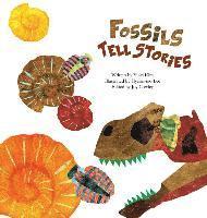 bokomslag Fossils Tell Stories