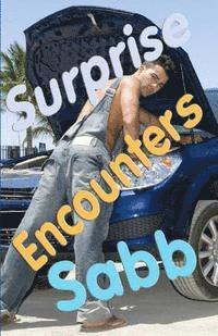 bokomslag Surprise Encounters: A Gay Erotica Anthology