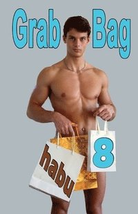 bokomslag Grab Bag 8: A Gay Erotica Anthology