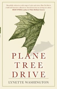 bokomslag Plane Tree Drive
