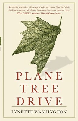 Plane Tree Drive 1