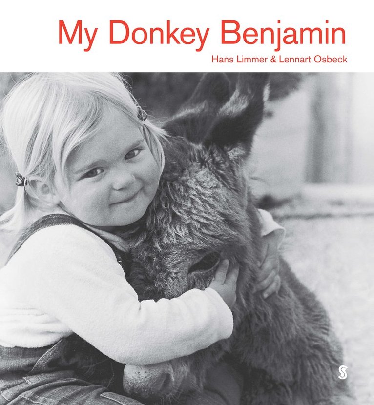 My Donkey Benjamin 1