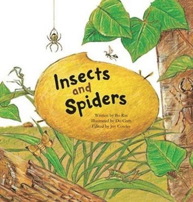 Insects and Spiders 1