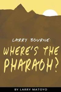 bokomslag Larry Bourne