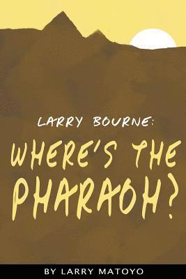 bokomslag Larry Bourne