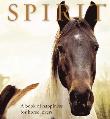 Spirit 1