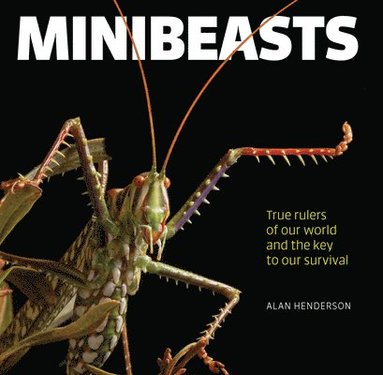 bokomslag Minibeasts