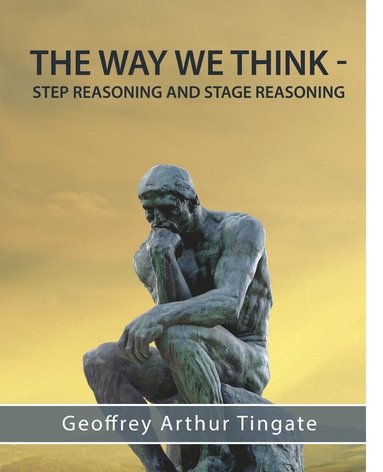 bokomslag Way We Think