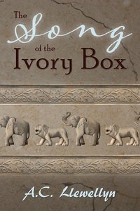 bokomslag The Song of the Ivory Box