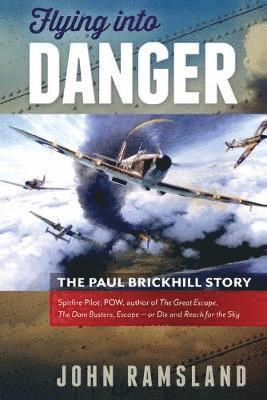 John Ramsland - Flying Into Danger, Häftad