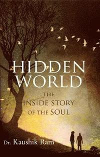 bokomslag Hidden World