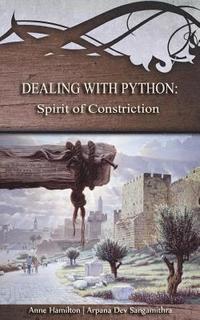 bokomslag Dealing with Python: Spirit of Constriction: Strategies for the Threshold #1
