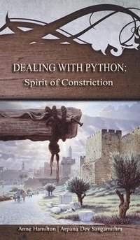 bokomslag Dealing with Python