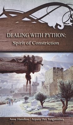 Dealing with Python 1