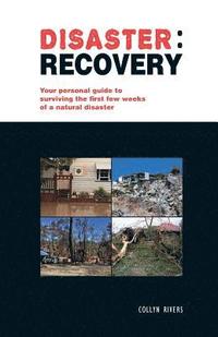 bokomslag Disaster: recovery
