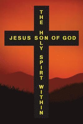 bokomslag Jesus son of God