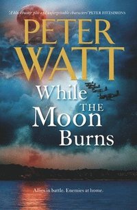bokomslag While the Moon Burns: Volume 11