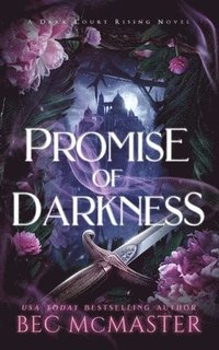 bokomslag Promise of Darkness