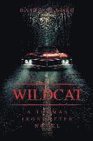 bokomslag Wildcat: A Thomas Ironcutter Novel