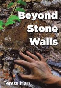 bokomslag Beyond Stone Walls
