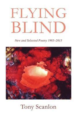 Tony Scanlon, Sue Wildman - Flying Blind, Häftad