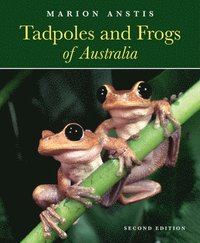 bokomslag Tadpoles and Frogs of Australia