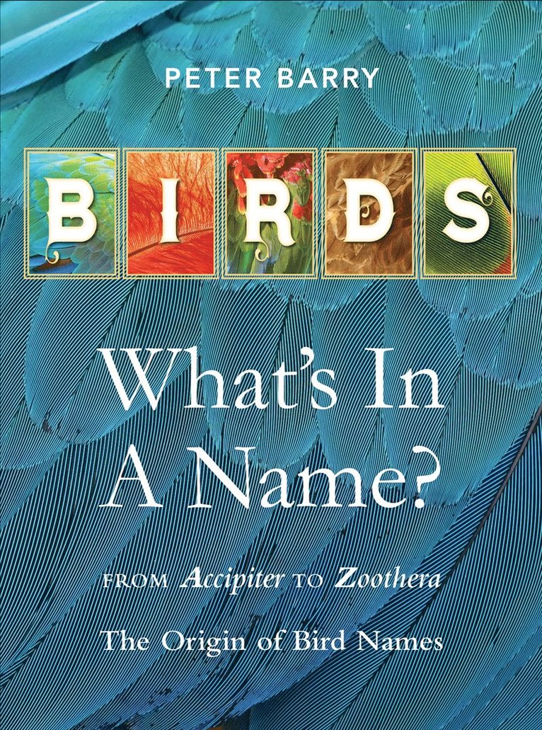 Peter Barry - Birds: What's In A Name?, Inbunden