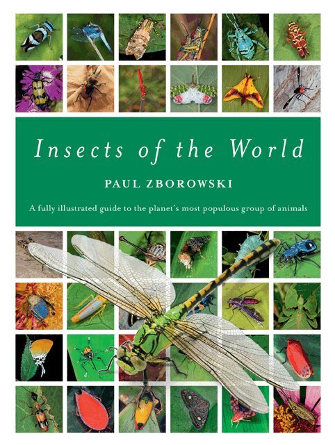 Paul Zborowski - Insects of the World, Inbunden