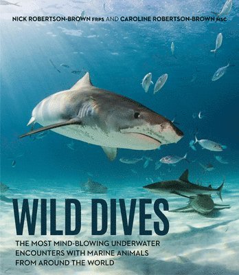 Wild Dives 1