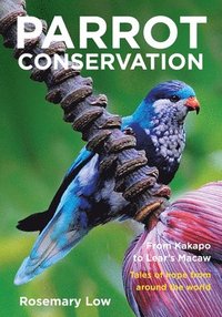 bokomslag Parrot Conservation