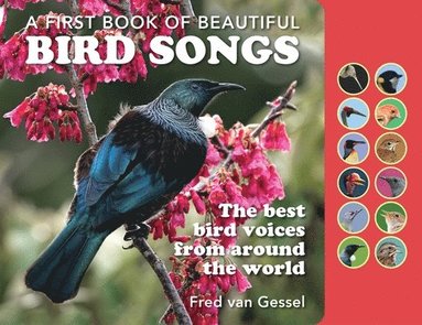 bokomslag A First Book of Beautiful Bird Songs