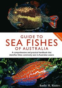 bokomslag Guide to Sea Fishes of Australia