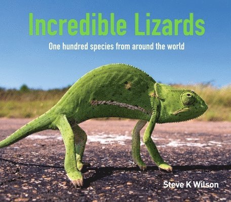 Incredible Lizards 1