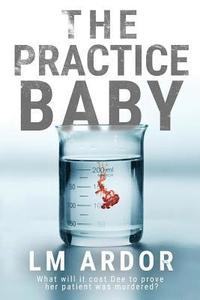 bokomslag The Practice Baby