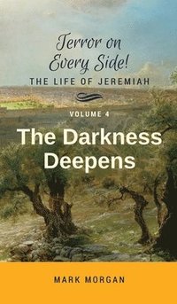 bokomslag Darkness Deepens