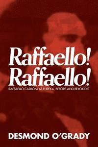 bokomslag Raffaello! Raffaello!