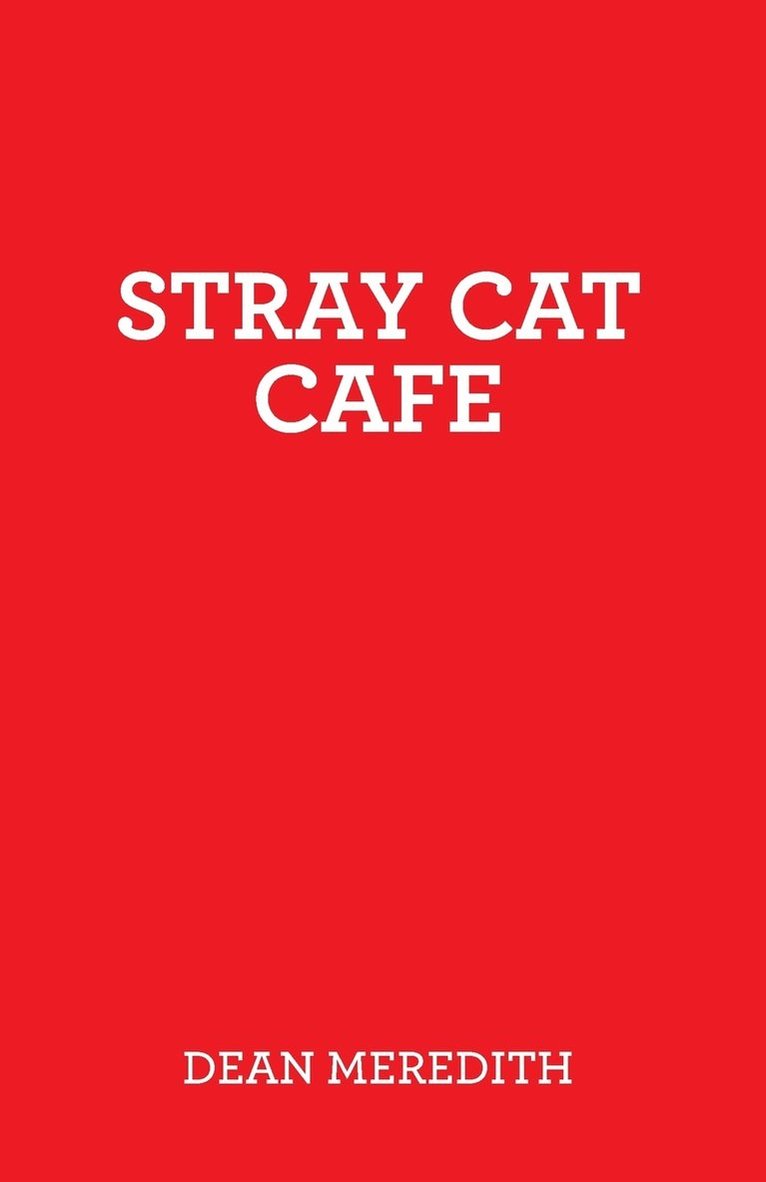 Stray Cat Cafe 1