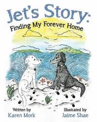 bokomslag Jet's Story
