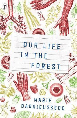 Our Life In The Forest 1