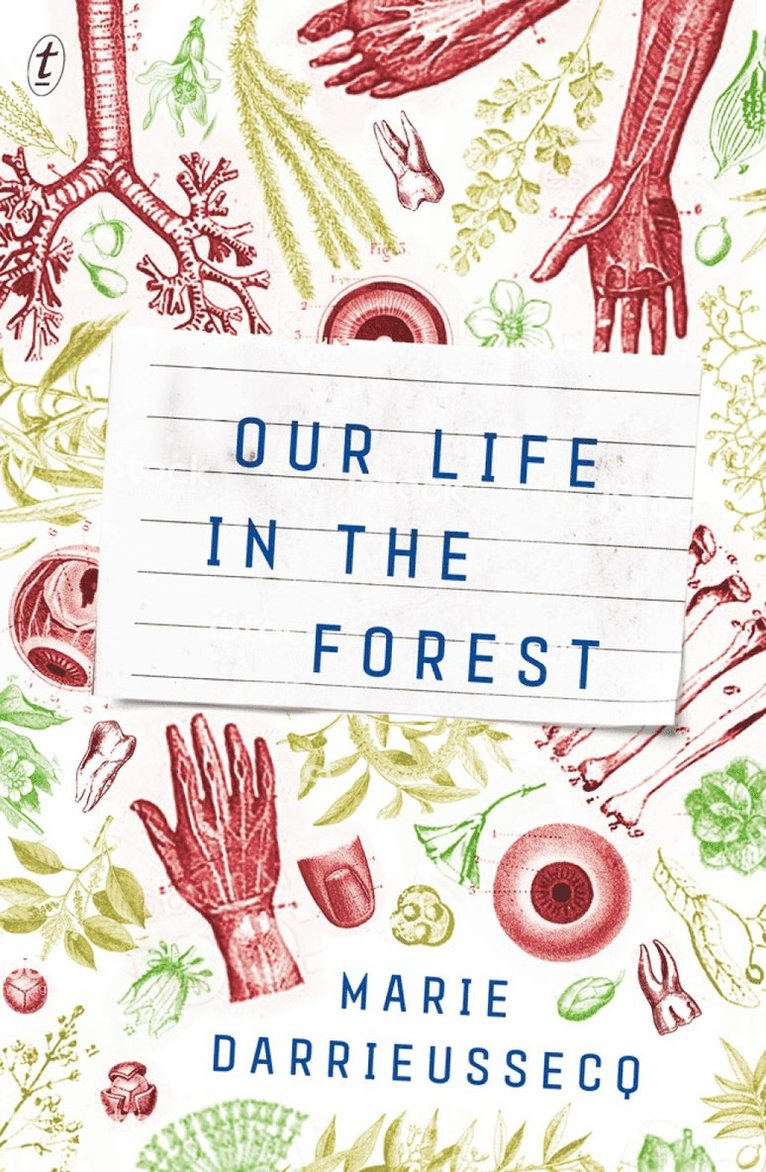 Our Life In The Forest 1