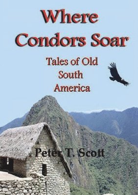 bokomslag Where Condors Soar