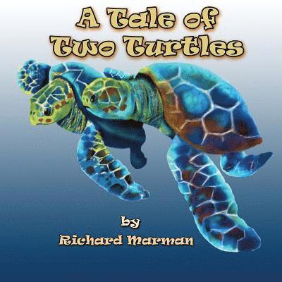 A Tale of Two Turtles 1