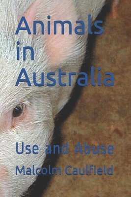 bokomslag Animals in Australia: Use and Abuse