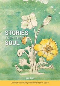 bokomslag Stories from the Soul
