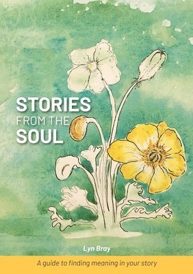 bokomslag Stories from the Soul